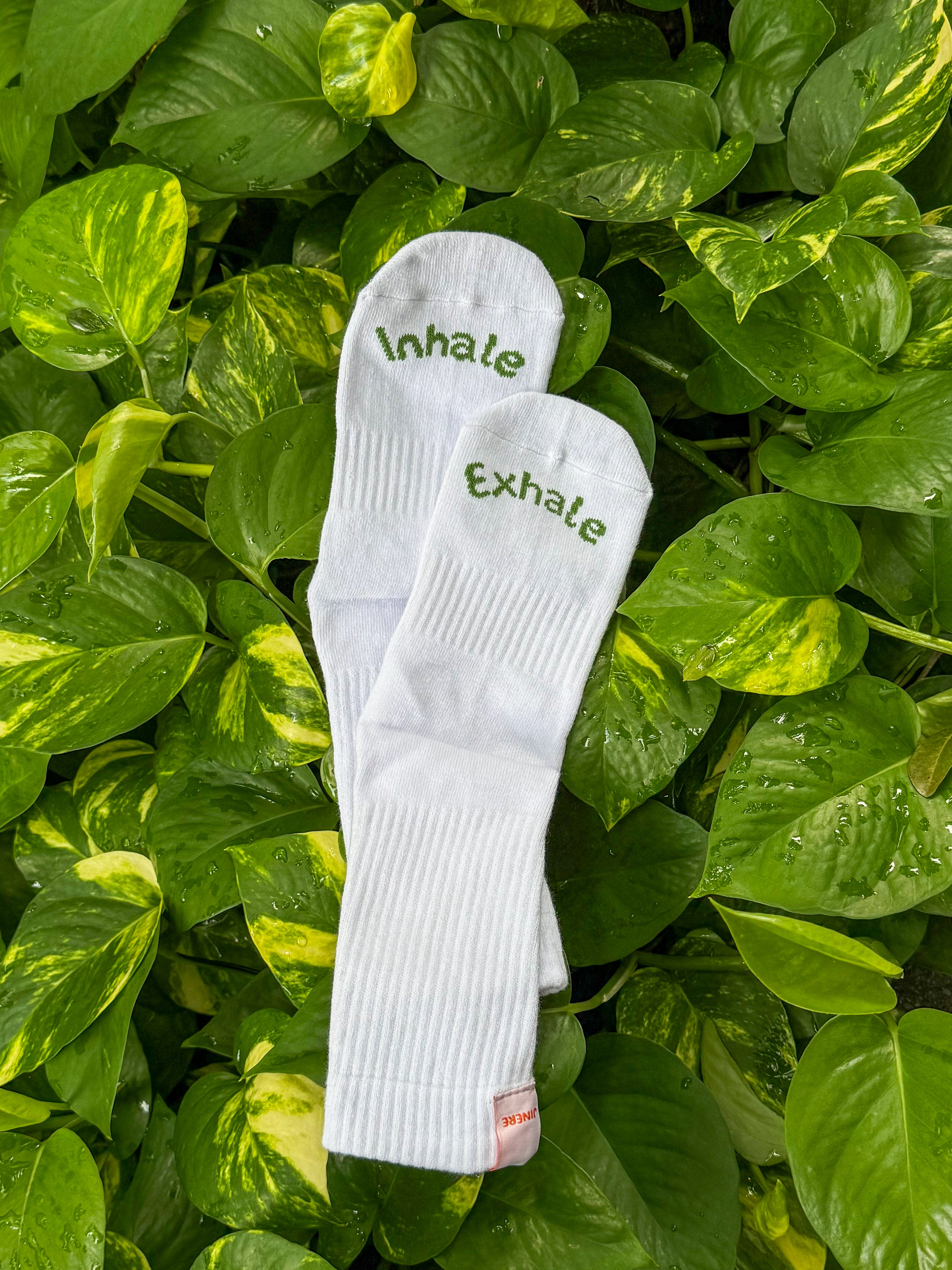 Crew Non Slip Grip Socks – White & Green Snakes